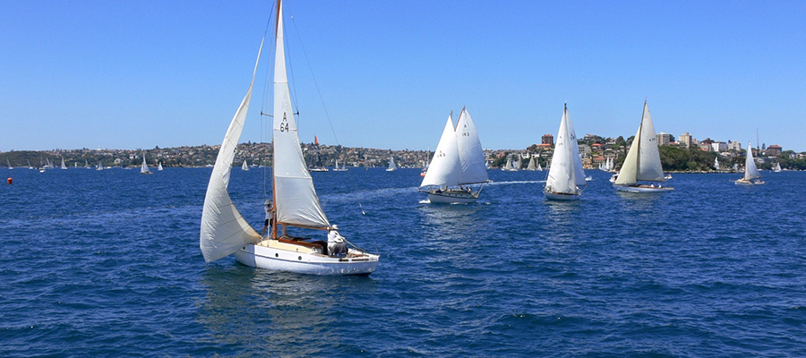 20170623154620_1513.jpg